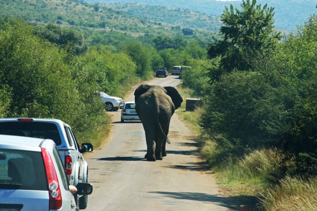 national park of south africa