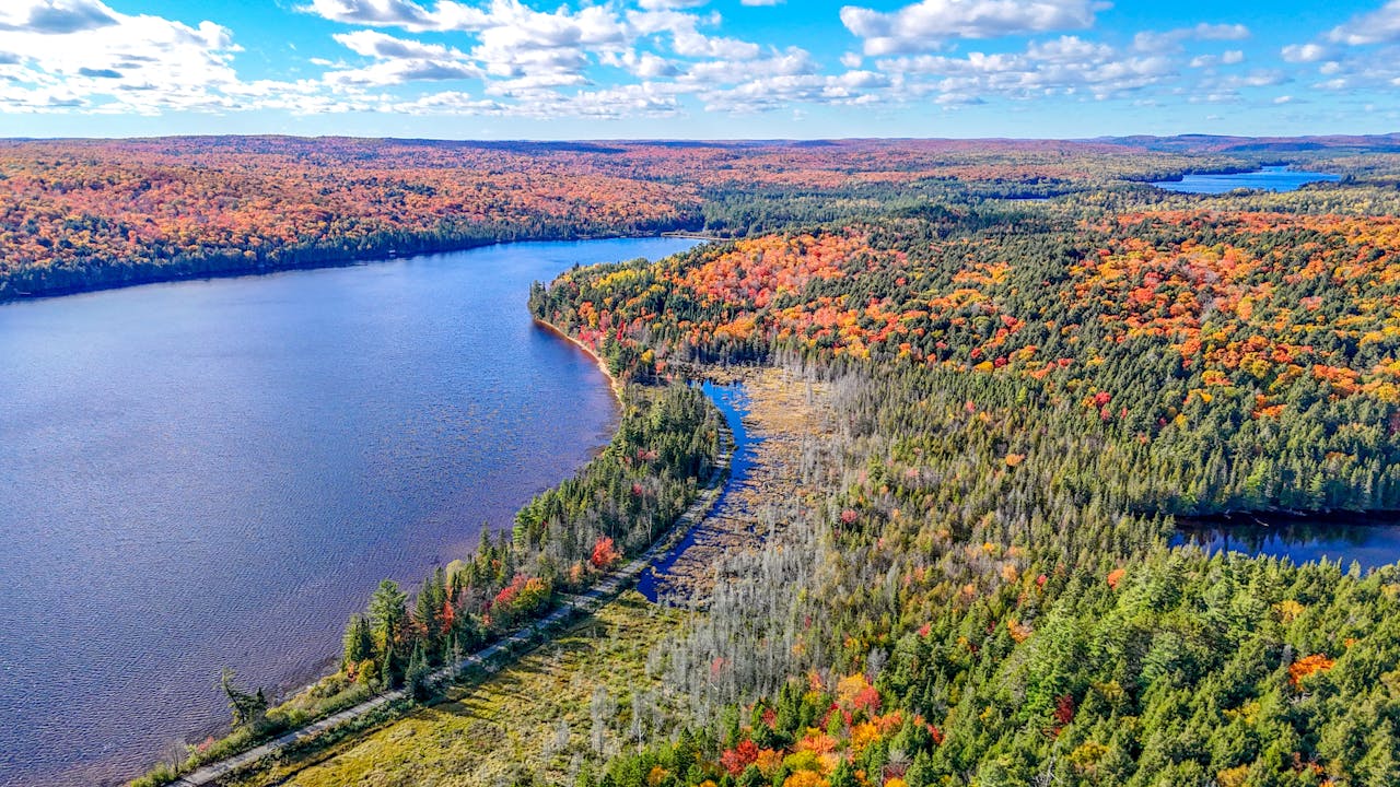 Fall foliage and canoe routes in Algonquin Provincial Park