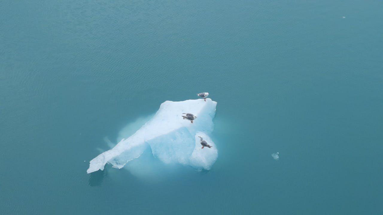 Best Time to Visit Alaska winter