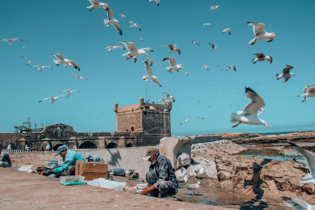 10 Days in Morocco Itinerary - essaouira
