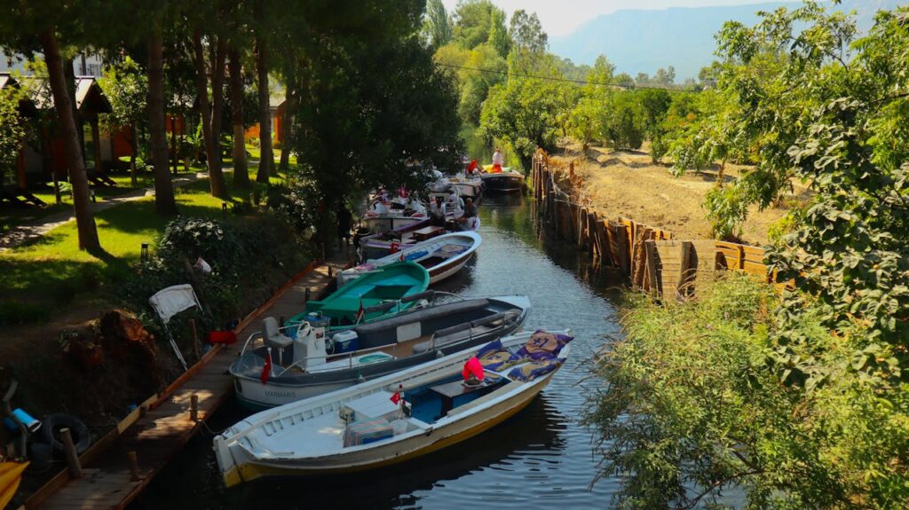 Best Things to Do in Mexico City - Xochimilco canal