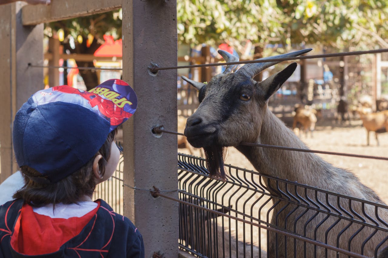 Things to Do in Nashville with Kids