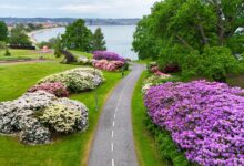 Best Places to Visit in Spring 2026