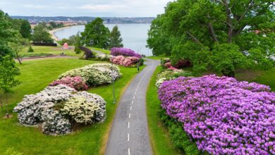 Best Places to Visit in Spring 2026